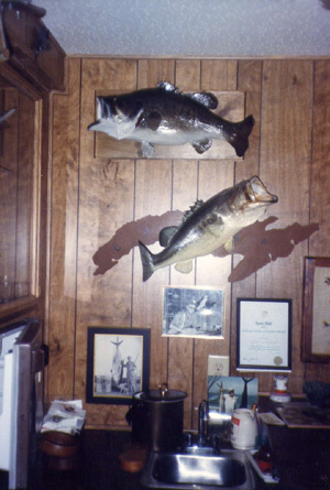 Scene in my present bar. 11 lb and 12 lb-2oz bass